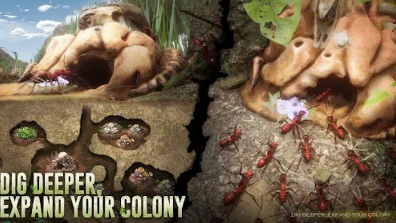 Tải Hack Ant Legion (Full Tiền, Kim Cương) v7.1.190 Phát triển thành một đế chế hùng mạnh trong Hack Ant Legion