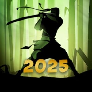 Tải Hack Shadow Fight 2 (Vô Hạn Tiền, Max Level) v2.44.0