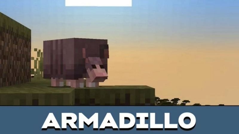 Tải Minecraft 1.20.51 Tiếng Việt Miễn Phí Cho Android Armadillo Được Thử Nghiệm Trong Game Minecraft 1.20.51