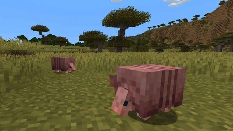 Tải Minecraft 1.21.0 APK Miễn Phí Cho Android Armadillo – Sinh Vật Mới Có Thể Tạo Giáp Sói Trong Minecraft 1.21.0 APK