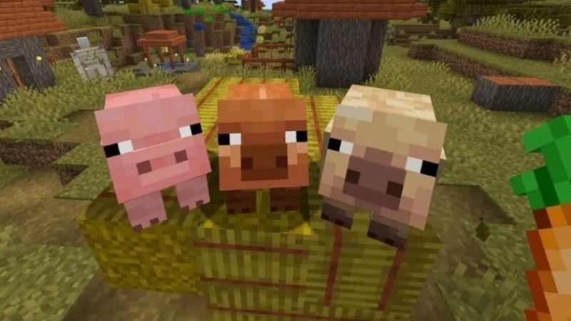 Tải Minecraft 1.21.60 APK Tiếng Việt Mới Nhất Cho Android Bổ Sung Biến Thể Lợn Theo Từng Khu Sinh Thái Trong Minecraft 1.21.60