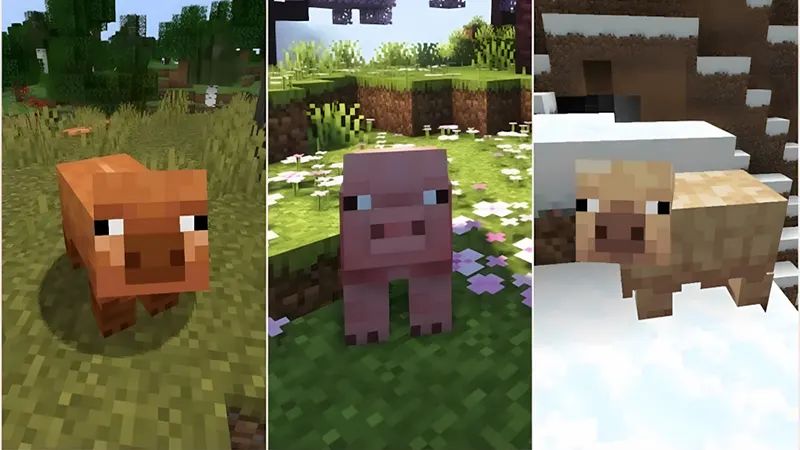 Tải Minecraft 1.21.62 APK Miễn Phí Cho Android Bổ Sung Biến Thể Lợn Mới Tăng Tính Đa Dạng Sinh Học Trong Minecraft 1.21.62 APK