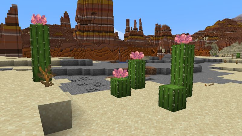 Tải Minecraft 1.21.70 APK Miễn Phí Cho Mobile Hoa Xương Rồng Có Thêm Công Dụng Hữu Ích Trong Minecraft 1.21.70 APK