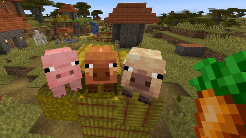 Tải Minecraft 1.21.71 APK Tiếng Việt Chính Thức Cho Android Bổ Sung Nhiều Biến Thể Lợn Mới Độc Đáo Trong Minecraft 1.21.71