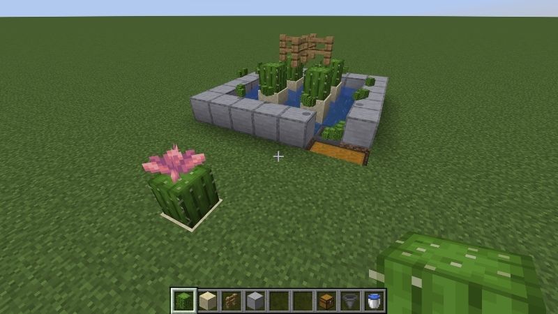 Tải Minecraft 1.21.72 APK Tiếng Việt Miễn Phí Cho Android Hoa Xương Rồng Dùng Trang Trí Địa Hình Trong Minecraft 1.21.72 APK