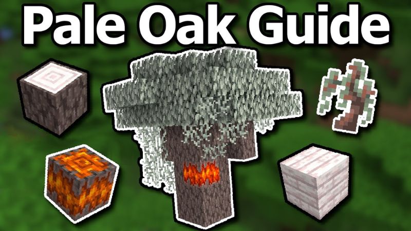 Tải Minecraft 1.21.4 APK Miễn Phí Cho Moblie Gỗ Pale Oak Trong Minecraft 1.21.4