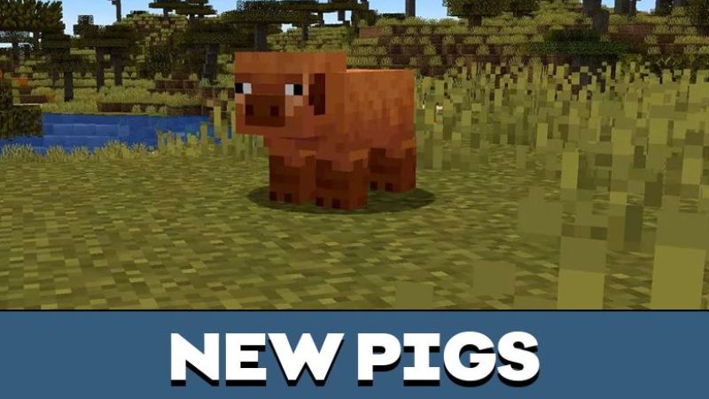 Tải Minecraft 1.21.61 APK Miễn Phí Cho Mobile Lợn Xuất Hiện Biến Thể Mới Trong Minecraft 1.21.61